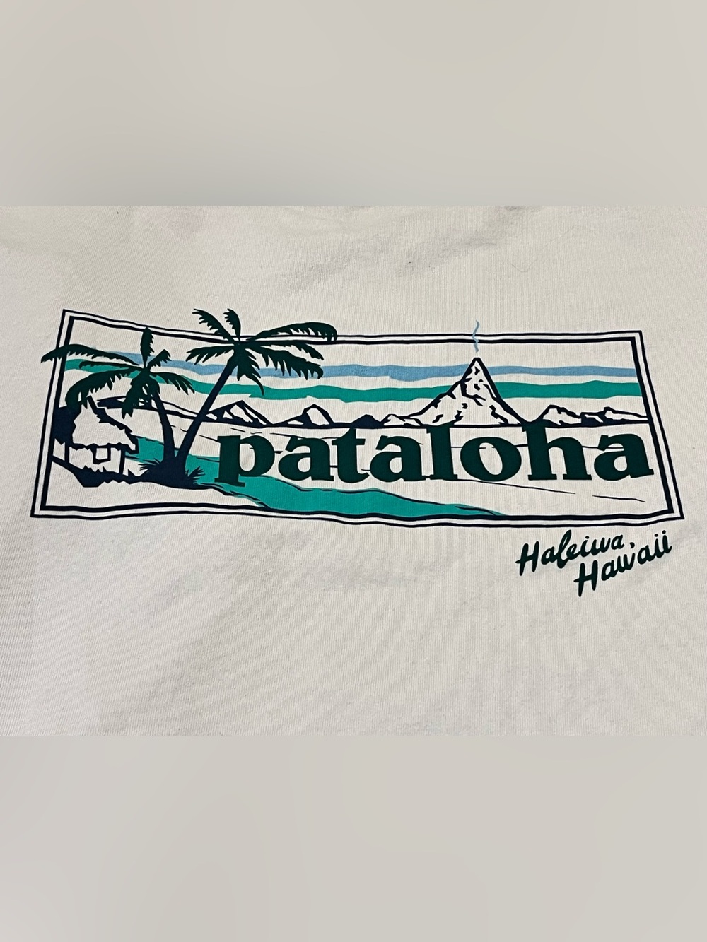 Patagonia Blue Long Sleeved Tee T-Shirt PATALOHA Hawaii XL Graphic WOW